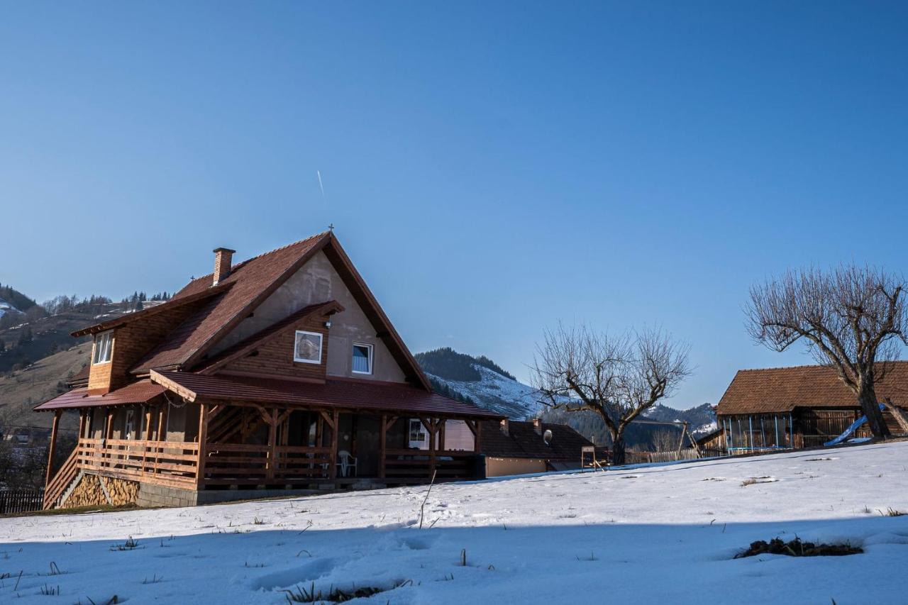 Anna Guesthouse Lunca de Sus Экстерьер фото